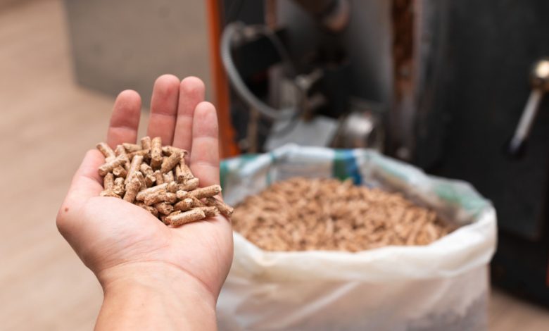 Au Broc dans les Alpes-Maritimes, la commune a remplacé les pellets de bois par des pellets fabriqués à partir de noyaux d'olives !