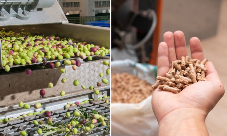 Des noyaux d'olives servent de combustible