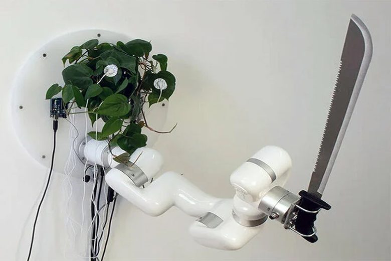 Une plante verte contrôle un bras robotisé tenant une machette 