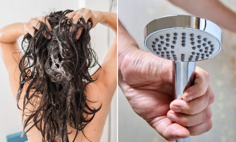 Un programmateur d’économie d’eau pour la douche