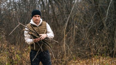 Peut-on ramasser légalement du bois de chauffage dans une forêt ?