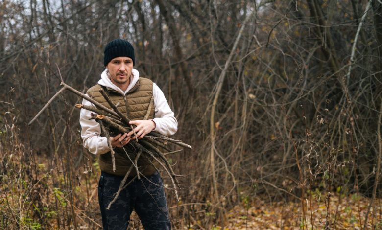 Peut-on ramasser légalement du bois de chauffage dans une forêt ?