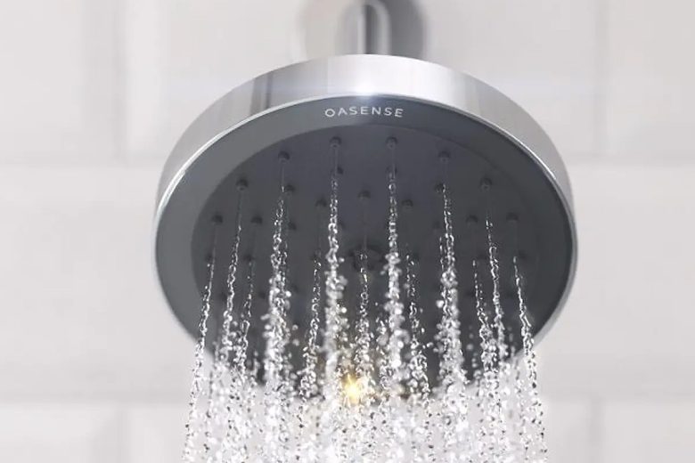 Le pommeau de douche REVA