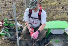 Une invention pour soulager les vignerons