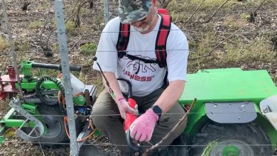 Une invention pour soulager les vignerons