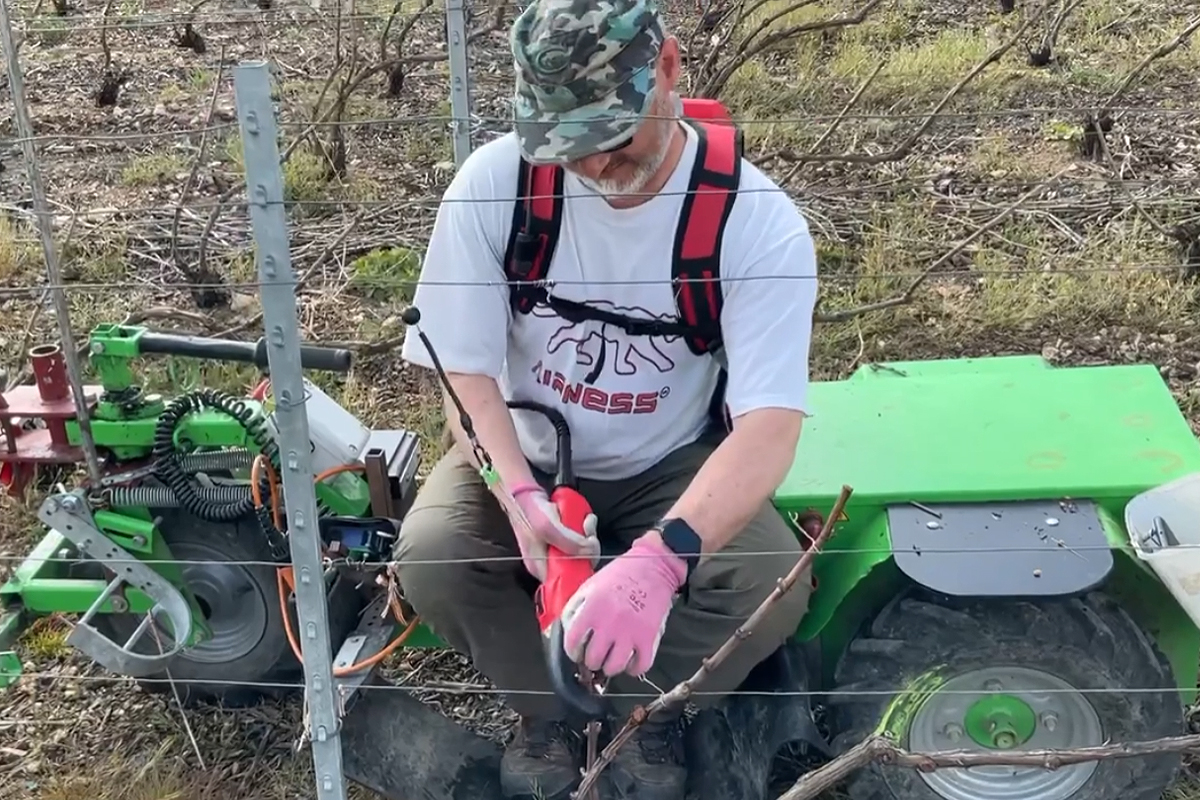 Une invention pour soulager les vignerons