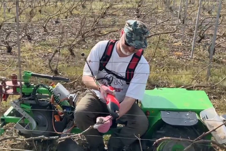 Un outil pour soulager le travail des vignerons, mais également celui des vendangeurs.