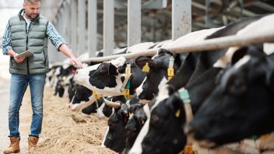 L'objectif, « Augmenter vos revenus avec une faible quantité de lait transformé. »