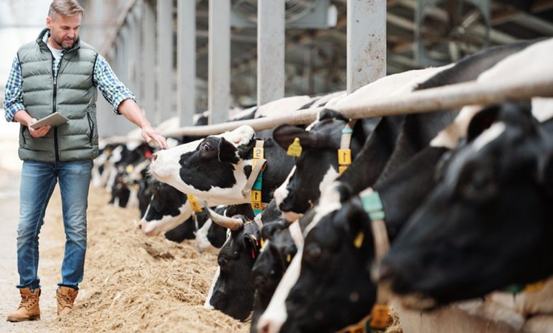 L'objectif, « Augmenter vos revenus avec une faible quantité de lait transformé. »