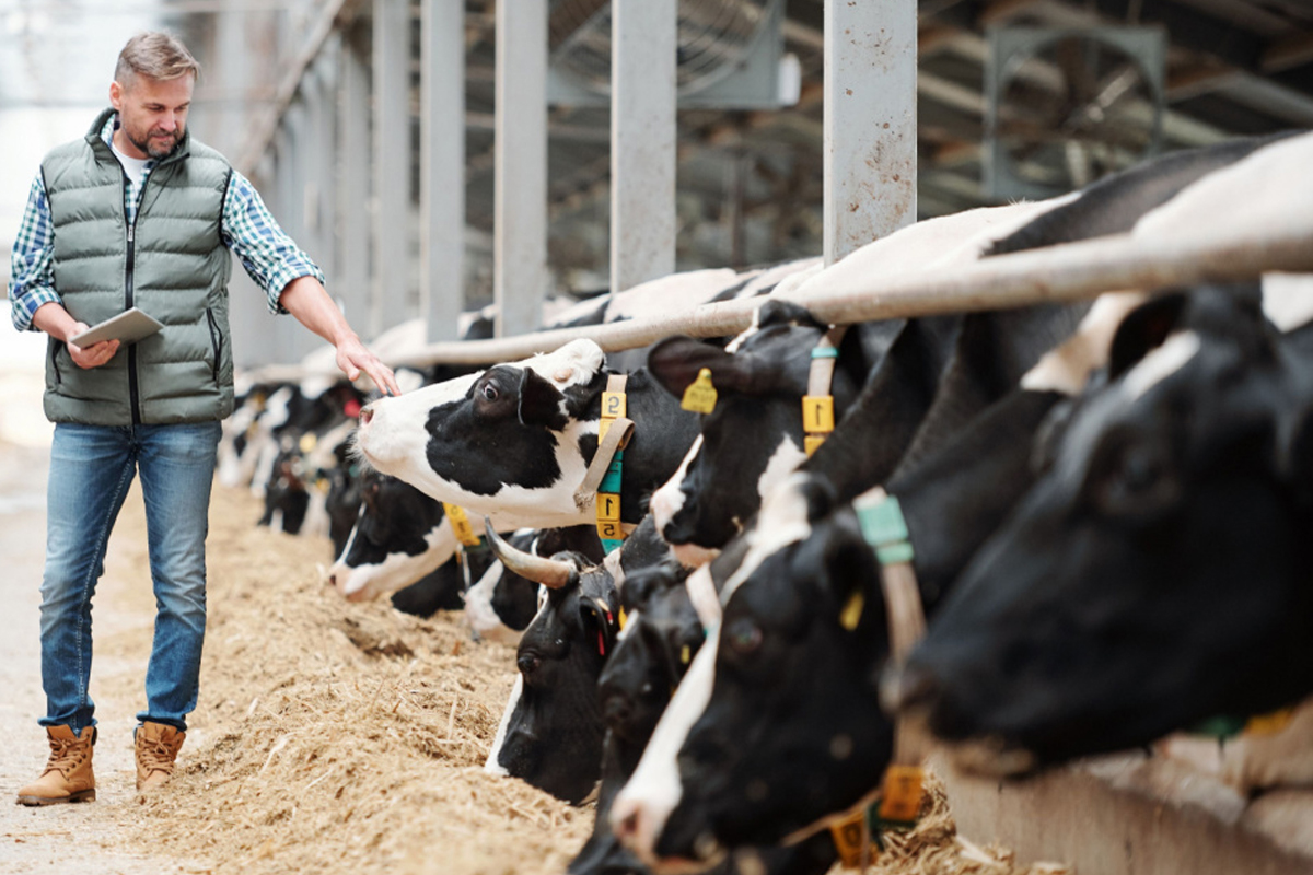 L'objectif, « Augmenter vos revenus avec une faible quantité de lait transformé. »