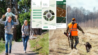 L'application made in Sud Ouest conçue et développée pour des activités sécurisées en forêt