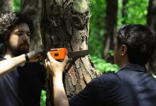 ForestGuard est un système de capteurs basé sur l'IoT qui détecte les incendies en temps réel