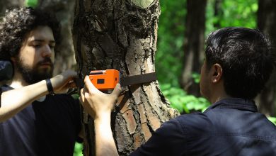 ForestGuard est un système de capteurs basé sur l'IoT qui détecte les incendies en temps réel