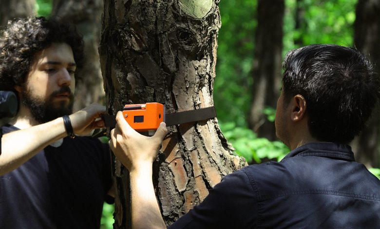 ForestGuard est un système de capteurs basé sur l'IoT qui détecte les incendies en temps réel