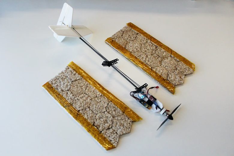 Les ailes du drone fournissent approximativement les mêmes valeurs énergétiques alimentaires qu'un petit-déjeuner.