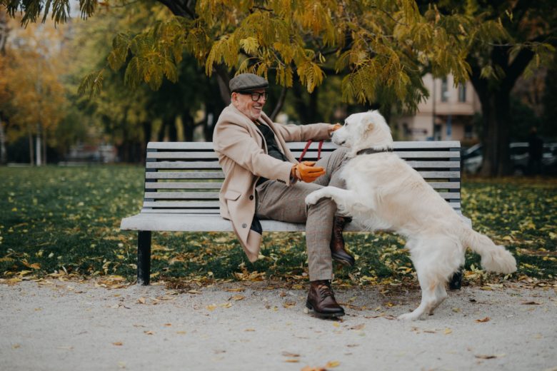 L’inhumation d'un corps humain, ou de cendres, avec celui d'un animal domestique est interdite.