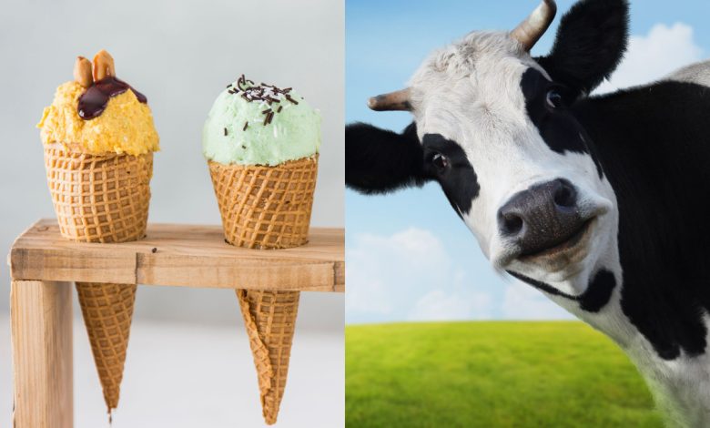 Du lait cultivé en laboratoire