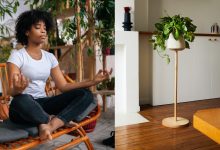 Neoplants, une plante génétiquement modifiée pour purifier l'air de nos intérieurs.