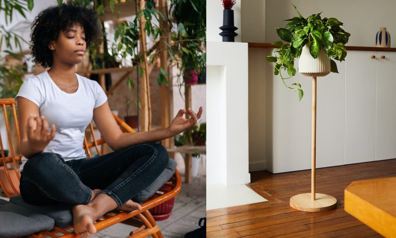 Neoplants, une plante génétiquement modifiée pour purifier l'air de nos intérieurs.
