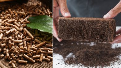 Des granulés de pellets en tourbe de noix de coco.