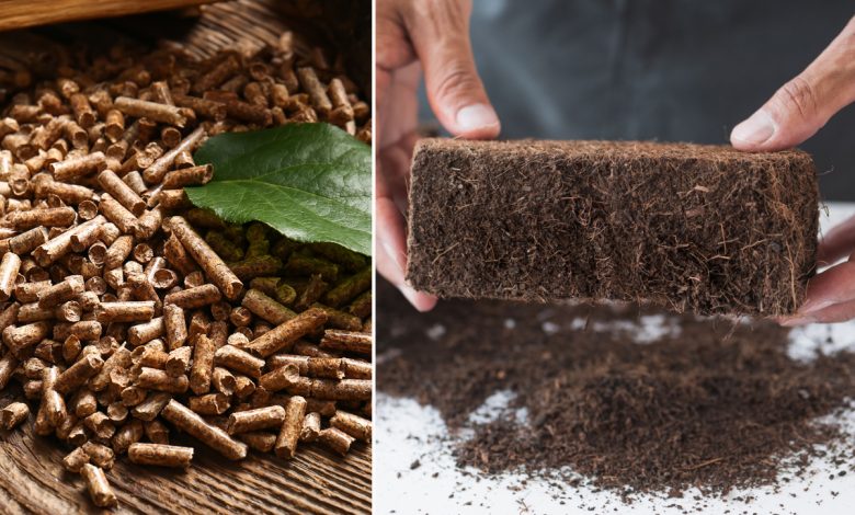 Des granulés de pellets en tourbe de noix de coco.