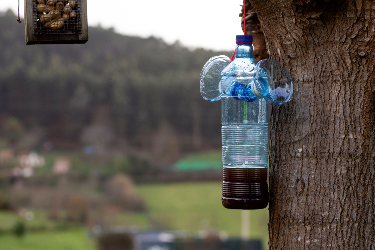 Comment Faire un Piège à Mouches Efficace Avec une Bouteille en Plastique., Recette