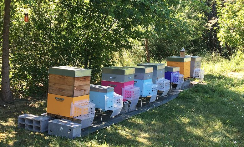 STOP IT, une barrière transparente, qui protège les abeilles.
