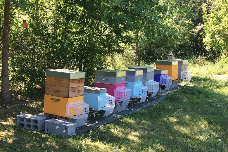 STOP IT, une barrière transparente, qui protège les abeilles.