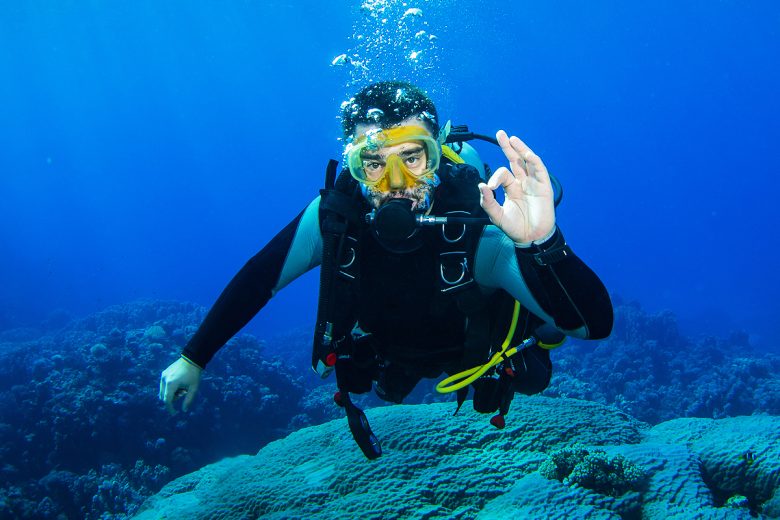 Un plongeur sous-marin