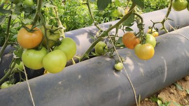 Une invention passive qui ne nécessite aucune énergie.