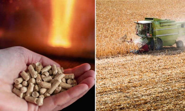 Les agro-pellets, un débouché pour l’agriculture.