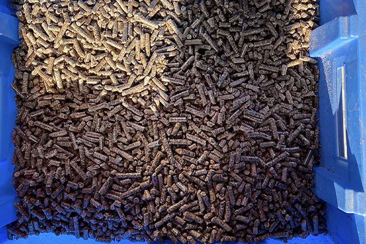 Granulés de bois : une entreprise alsacienne transforme les Kachelofen en  poêles à pellets modernes - NeozOne