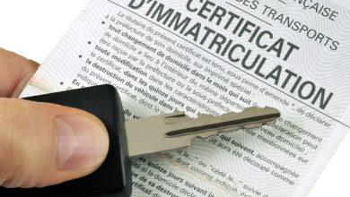 Pourquoi la procédure d'immatriculation en ligne est-elle populaire ?