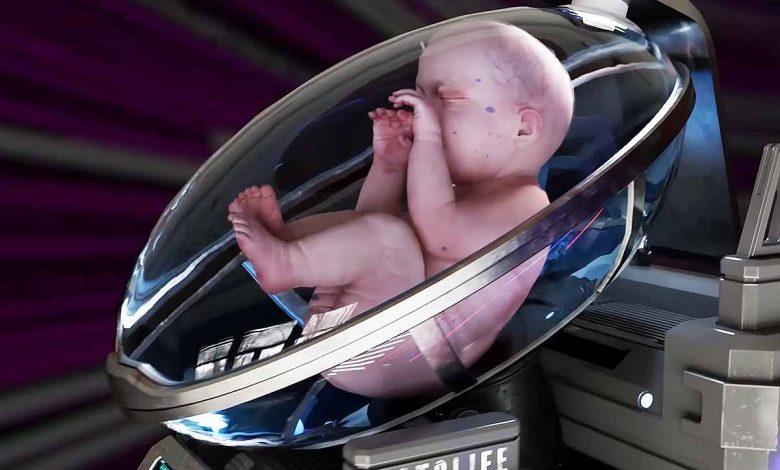 Un utérus artificiel