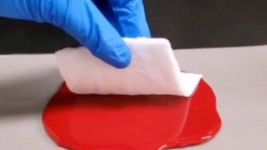 Une « feuille de gel » fabriquée à partir d'un matériau semblable à la gélatine
