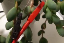 Un générateur électrique qui fonctionne avec des plantes.