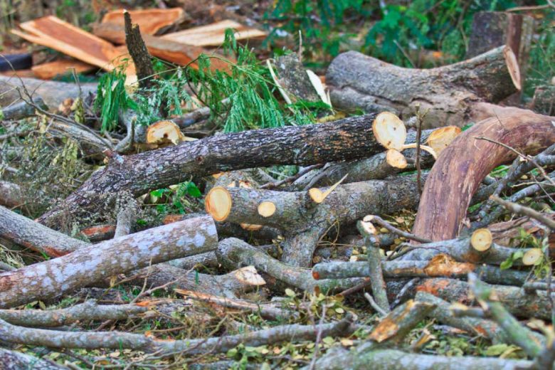 Valoriser des déchets de bois produits localement