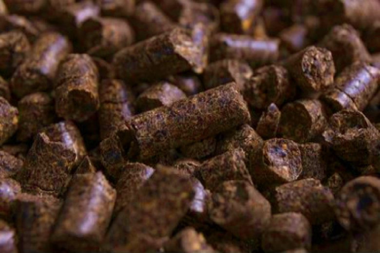 Des pellets de marc de café