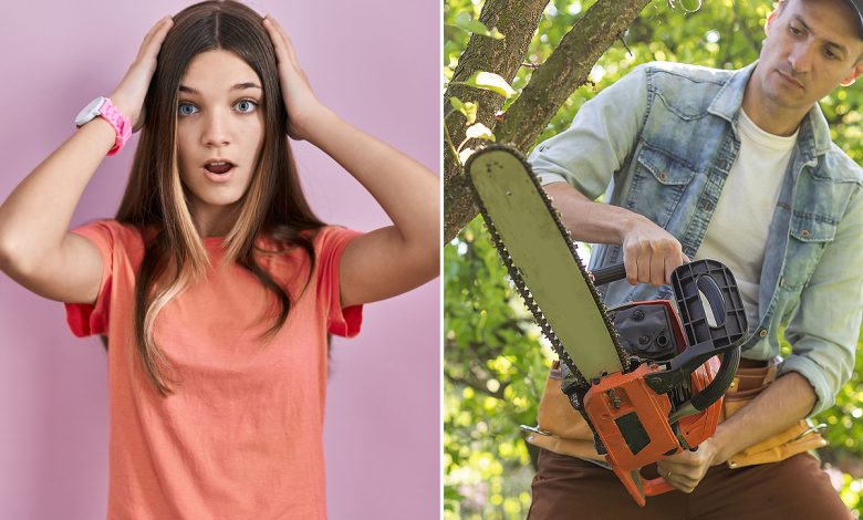 Pourquoi la tronçonneuse a été inventée ?