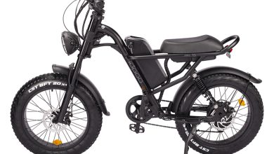 Z8 ELectric Bike