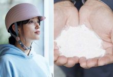 Les coquilles Saint-Jacques sont les coquillages les plus consommés par les Japonais. C'était aussi le coquillage dont les coquilles sont les moins recyclées.