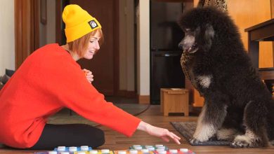 L'invention d'un dispositif pour communiquer avec son animal domestique.