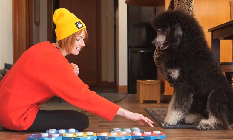 L'invention d'un dispositif pour communiquer avec son animal domestique.