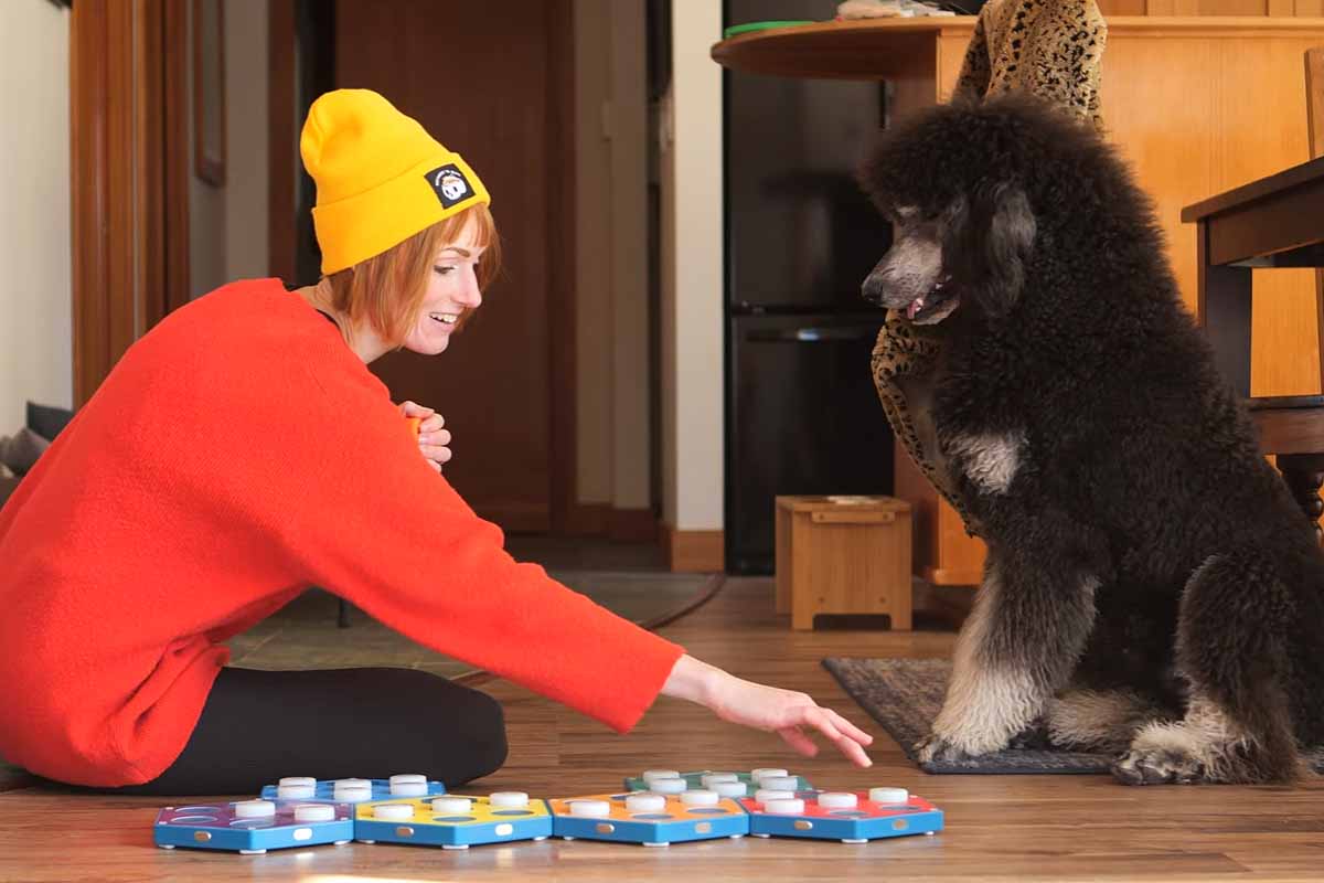 L'invention d'un dispositif pour communiquer avec son animal domestique.