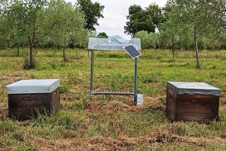 Mellon'Harp, une harpe électrique composée d'un cadre en PVC, de fils inoxydables et d'un boîtier électronique. 100% autonome et solaire pour électrifier les frelons asiatiques.