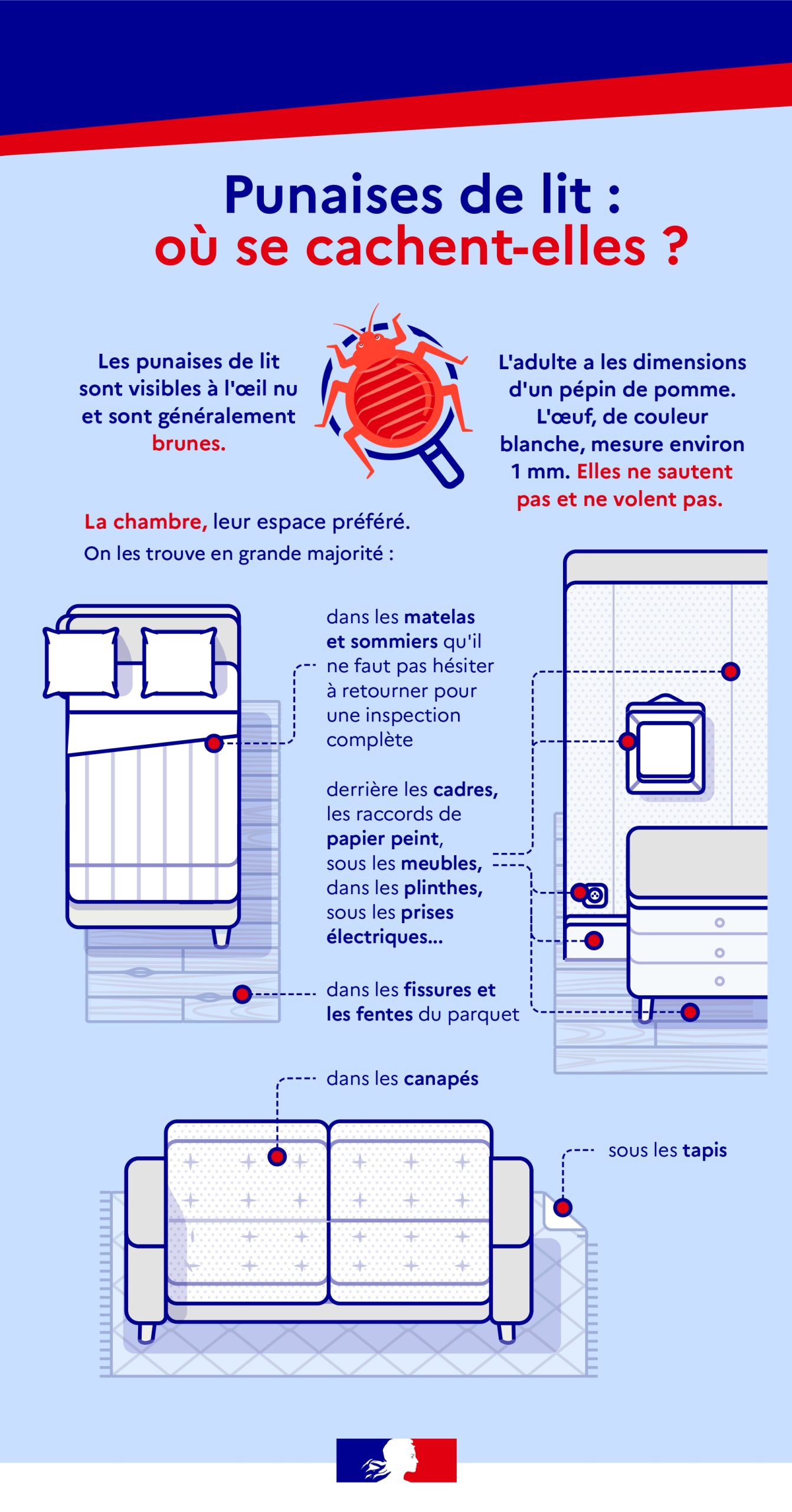 Punaises de lit : les inventions et innovations pour protéger sa