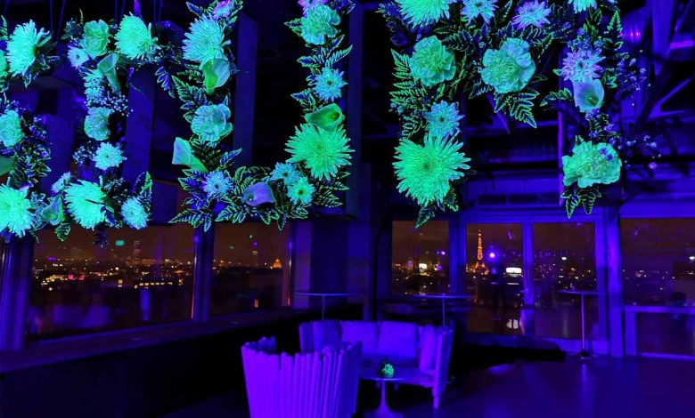 L'invention d'un sérum nutritif (sans modification génétique) qui transforme les végétaux en plantes luminescentes.