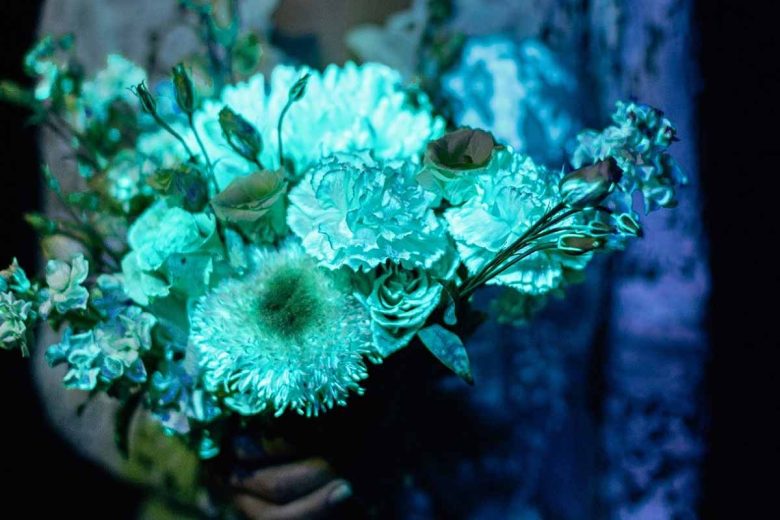 Des fleurs luminescentes sur le thème du mariage.