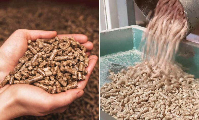 Pellet de bois, un combustible de qualité au meilleur prix