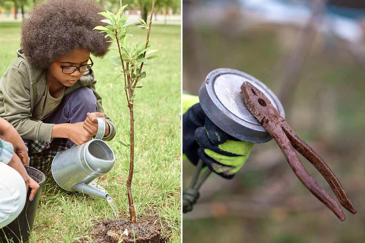 L'argent de la revente des déchets métalliques est utilisé pour planter des arbres dans des écoles.